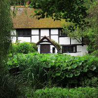 Black and White Cottage